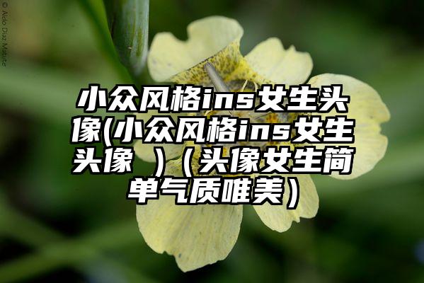 小众风格ins女生头像(小众风格ins女生头像 )（头像女生简单气质唯美）