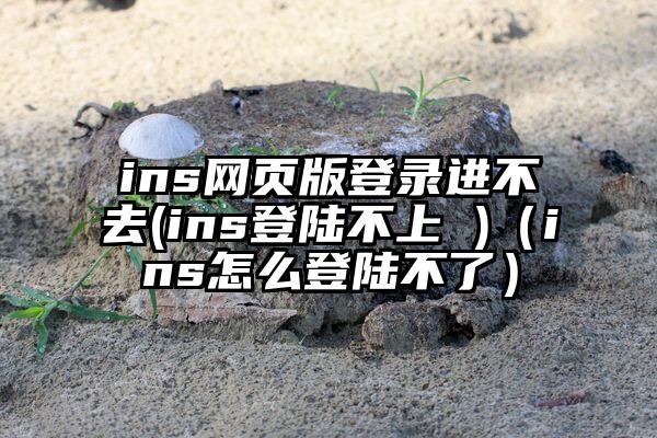 ins网页版登录进不去(ins登陆不上 )（ins怎么登陆不了）