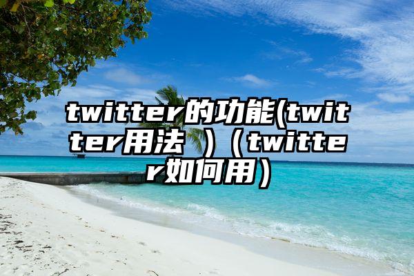 twitter的功能(twitter用法 )（twitter如何用）