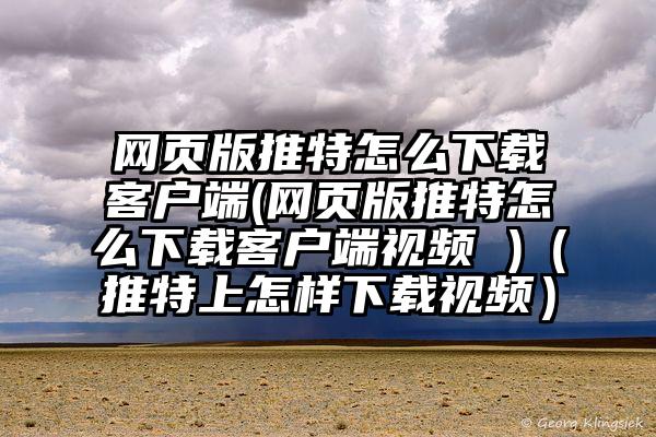 网页版推特怎么下载客户端(网页版推特怎么下载客户端视频 )（推特上怎样下载视频）