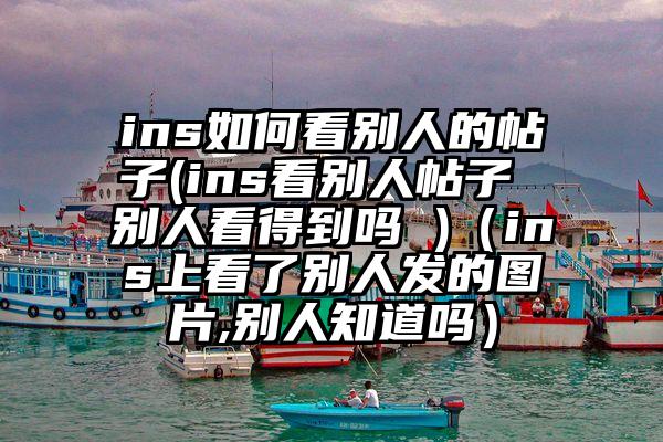 ins如何看别人的帖子(ins看别人帖子 别人看得到吗 )（ins上看了别人发的图片,别人知道吗）