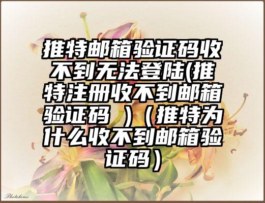 推特邮箱验证码收不到无法登陆(推特注册收不到邮箱验证码 )（推特为什么收不到邮箱验证码）