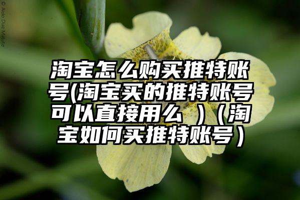 淘宝怎么购买推特账号(淘宝买的推特账号可以直接用么 )（淘宝如何买推特账号）