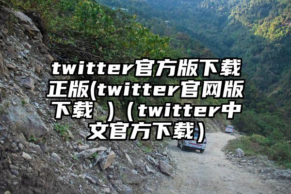 twitter官方版下载正版(twitter官网版下载 )（twitter中文官方下载）