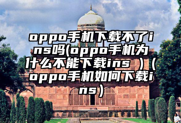 oppo手机下载不了ins吗(oppo手机为什么不能下载ins )（oppo手机如何下载ins）