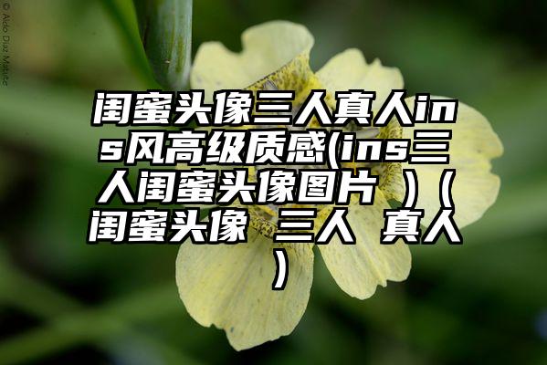 闺蜜头像三人真人ins风高级质感(ins三人闺蜜头像图片 )（闺蜜头像 三人 真人）