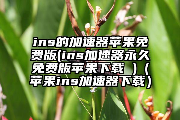 ins的加速器苹果免费版(ins加速器永久免费版苹果下载 )（苹果ins加速器下载）