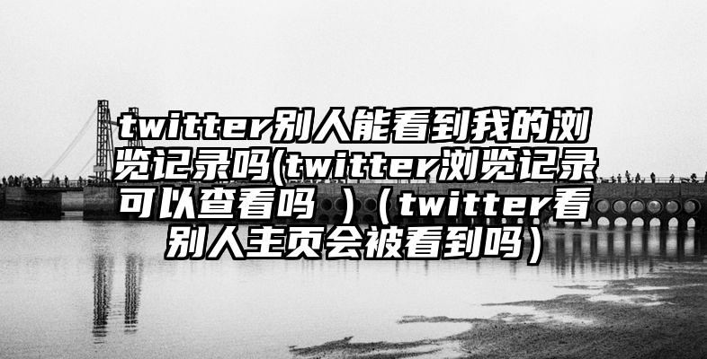 twitter别人能看到我的浏览记录吗(twitter浏览记录可以查看吗 )（twitter看别人主页会被看到吗）