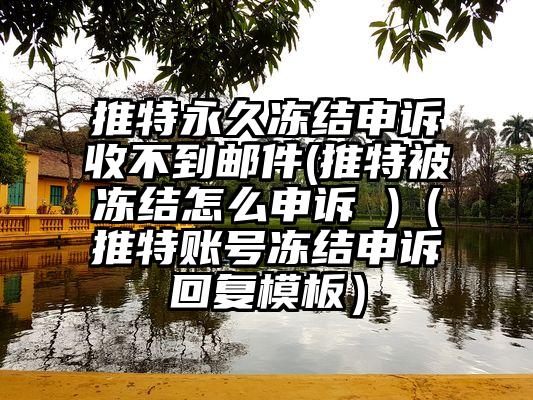 推特永久冻结申诉收不到邮件(推特被冻结怎么申诉 )（推特账号冻结申诉回复模板）