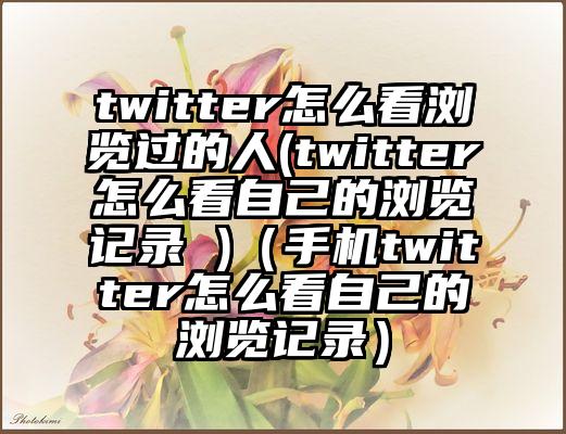 twitter怎么看浏览过的人(twitter怎么看自己的浏览记录 )（手机twitter怎么看自己的浏览记录）