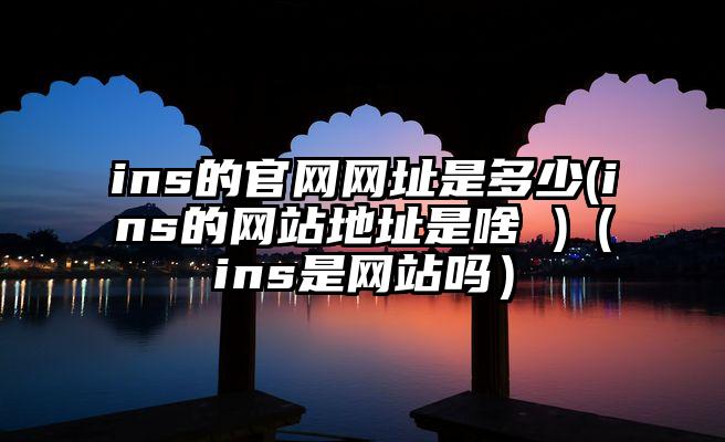 ins的官网网址是多少(ins的网站地址是啥 )（ins是网站吗）