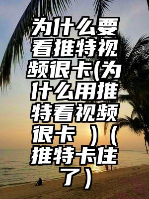 为什么要看推特视频很卡(为什么用推特看视频很卡 )（推特卡住了）