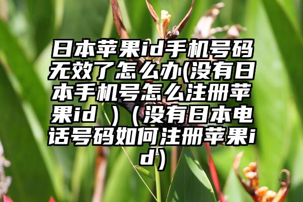 日本苹果id手机号码无效了怎么办(没有日本手机号怎么注册苹果id )（没有日本电话号码如何注册苹果id）