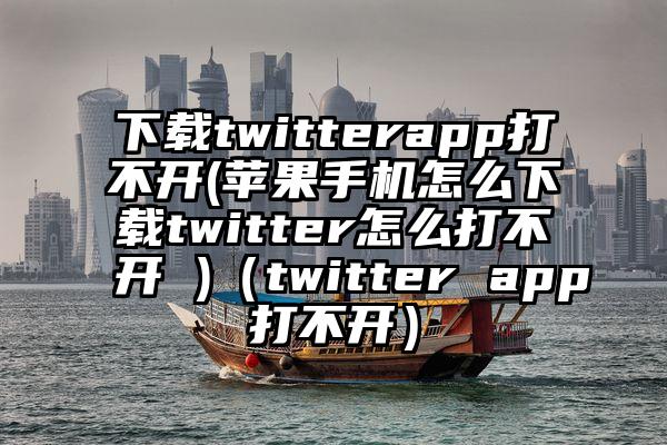 下载twitterapp打不开(苹果手机怎么下载twitter怎么打不开 )（twitter app打不开）