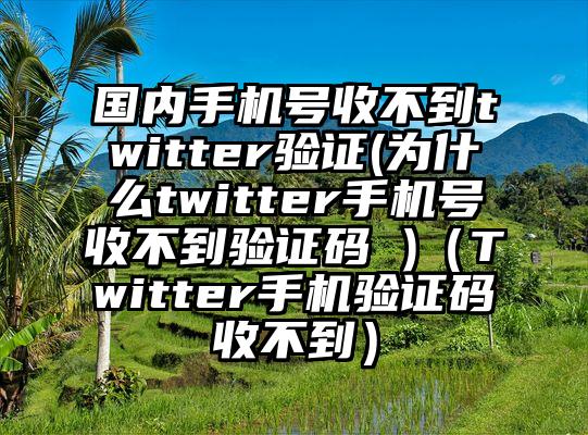 国内手机号收不到twitter验证(为什么twitter手机号收不到验证码 )（Twitter手机验证码收不到）