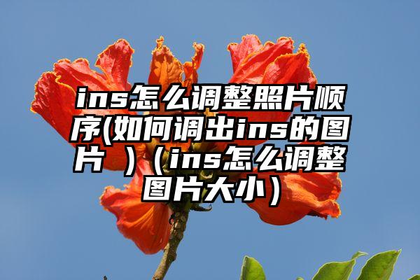 ins怎么调整照片顺序(如何调出ins的图片 )（ins怎么调整图片大小）