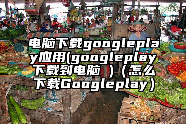 电脑下载googleplay应用(googleplay下载到电脑 )（怎么下载Googleplay）