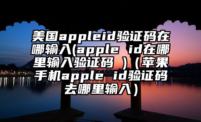 美国appleid验证码在哪输入(apple id在哪里输入验证码 )（苹果手机apple id验证码去哪里输入）