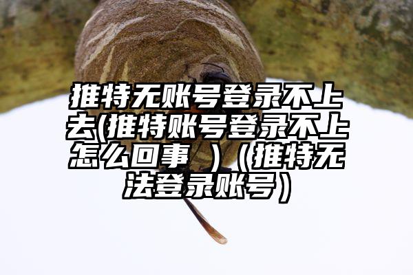 推特无账号登录不上去(推特账号登录不上怎么回事 )（推特无法登录账号）