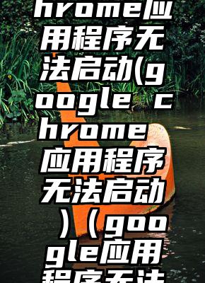 googlechrome应用程序无法启动(google chrome 应用程序无法启动 )（google应用程序无法正常