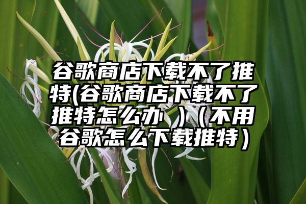 谷歌商店下载不了推特(谷歌商店下载不了推特怎么办 )（不用谷歌怎么下载推特）