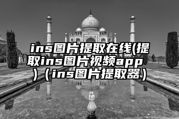 ins图片提取在线(提取ins图片视频app )（ins图片提取器）