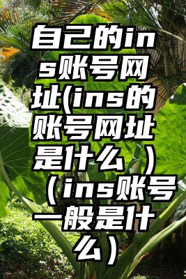 自己的ins账号网址(ins的账号网址是什么 )（ins账号一般是什么）