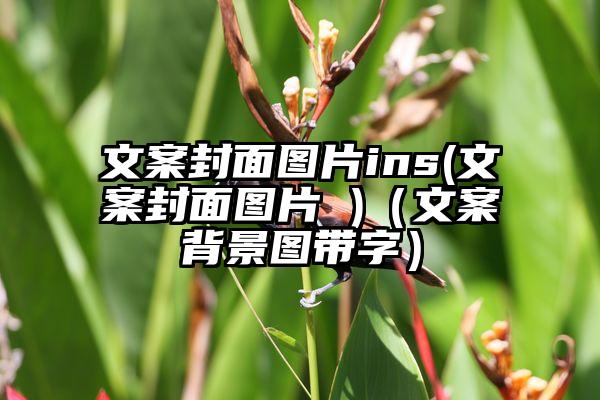 文案封面图片ins(文案封面图片 )（文案背景图带字）