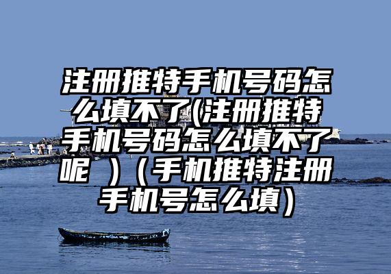 注册推特手机号码怎么填不了(注册推特手机号码怎么填不了呢 )（手机推特注册手机号怎么填）