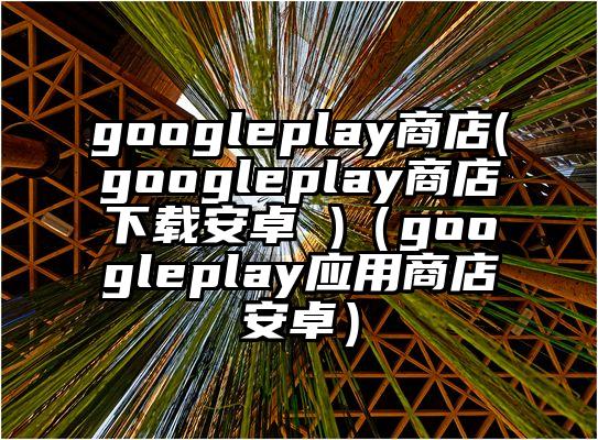 googleplay商店(googleplay商店下载安卓 )（googleplay应用商店安卓）