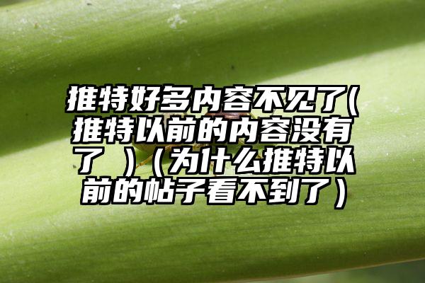 推特好多内容不见了(推特以前的内容没有了 )（为什么推特以前的帖子看不到了）