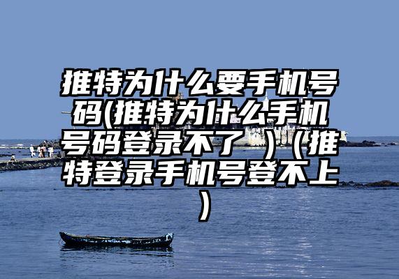 推特为什么要手机号码(推特为什么手机号码登录不了 )（推特登录手机号登不上）