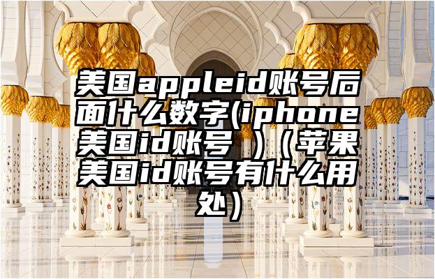 美国appleid账号后面什么数字(iphone美国id账号 )（苹果美国id账号有什么用处）