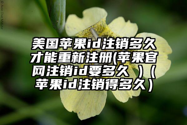 美国苹果id注销多久才能重新注册(苹果官网注销id要多久 )（苹果id注销得多久）