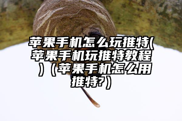 苹果手机怎么玩推特(苹果手机玩推特教程 )（苹果手机怎么用推特?）