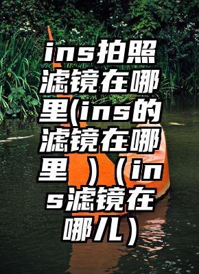 ins拍照滤镜在哪里(ins的滤镜在哪里 )（ins滤镜在哪儿）