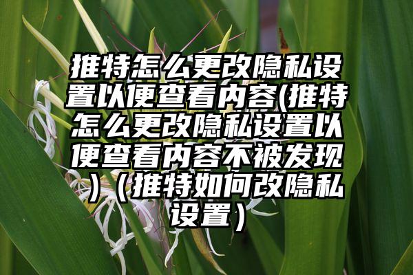 推特怎么更改隐私设置以便查看内容(推特怎么更改隐私设置以便查看内容不被发现 )（推特如何改隐私设置）