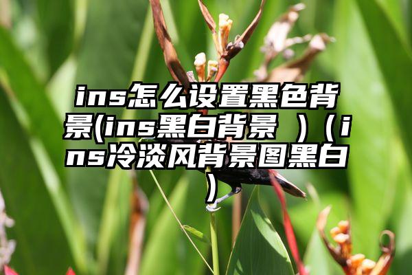 ins怎么设置黑色背景(ins黑白背景 )（ins冷淡风背景图黑白）