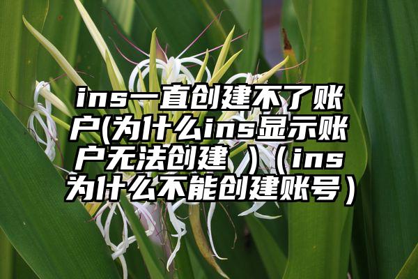 ins一直创建不了账户(为什么ins显示账户无法创建 )（ins为什么不能创建账号）