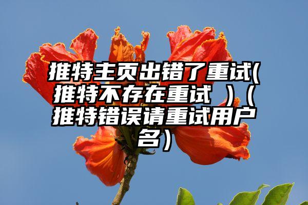 推特主页出错了重试(推特不存在重试 )（推特错误请重试用户名）