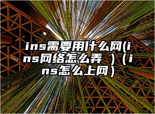 ins需要用什么网(ins网络怎么弄 )（ins怎么上网）