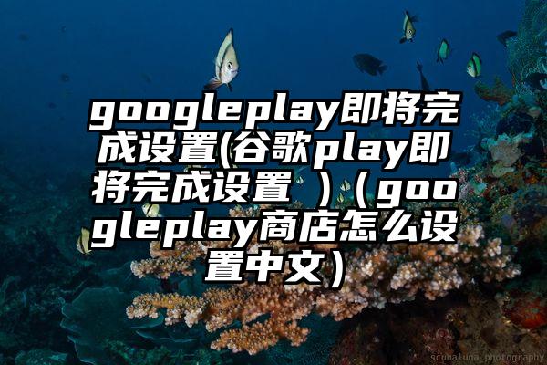 googleplay即将完成设置(谷歌play即将完成设置 )（googleplay商店怎么设置中文）