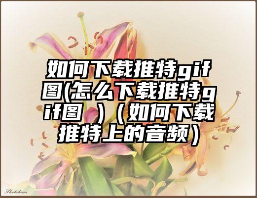 如何下载推特gif图(怎么下载推特gif图 )（如何下载推特上的音频）