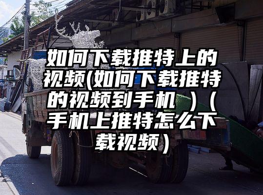 如何下载推特上的视频(如何下载推特的视频到手机 )（手机上推特怎么下载视频）