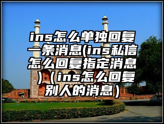 ins怎么单独回复一条消息(ins私信怎么回复指定消息 )（ins怎么回复别人的消息）