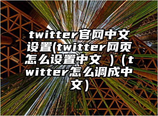 twitter官网中文设置(twitter网页怎么设置中文 )（twitter怎么调成中文）