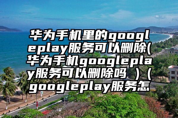 华为手机里的googleplay服务可以删除(华为手机googleplay服务可以删除吗 )（googleplay服务怎