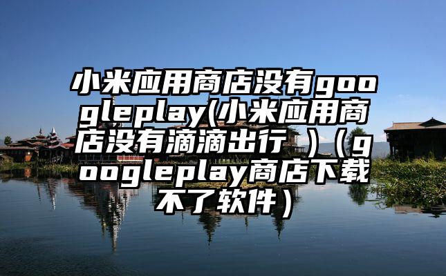 小米应用商店没有googleplay(小米应用商店没有滴滴出行 )（googleplay商店下载不了软件）