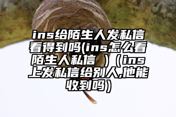 ins给陌生人发私信看得到吗(ins怎么看陌生人私信 )（ins上发私信给别人,他能收到吗）