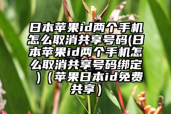 日本苹果id两个手机怎么取消共享号码(日本苹果id两个手机怎么取消共享号码绑定 )（苹果日本id免费共享）